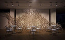 002 Bentwood Chair by Ton - Bauhaus 2 Your House