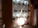 Erbale Plant Holder by Driade - Bauhaus 2 Your House