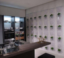 Erbale Plant Holder by Driade - Bauhaus 2 Your House