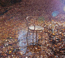 August Thonet No. 30 Bentwood Chair by Ton - Bauhaus 2 Your House