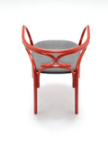 Brezel Bentwood Armchair by GTV - Bauhaus 2 Your House