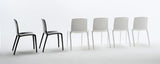 Tiffany Chair by Casprini - Bauhaus 2 Your House