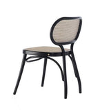 Coates Bodystuhl Bentwood Chair by GTV - Bauhaus 2 Your House