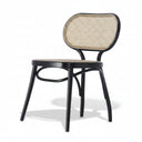 Coates Bodystuhl Bentwood Chair by GTV - Bauhaus 2 Your House