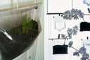 Erbale Plant Holder by Driade - Bauhaus 2 Your House