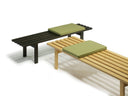 Martin Visser BZ Stedelijk Museum Amsterdam Bench by Spectrum Design - Bauhaus 2 Your House