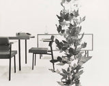 Martin Visser SE 69 Armchair by Spectrum Design - Bauhaus 2 Your House
