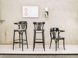 Michael Thonet No. 25 Bentwood Chair by Ton - Bauhaus 2 Your House