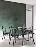 Michael Thonet No 18 Veneer Seat Bentwood Side Chair by GTV - Bauhaus 2 Your House