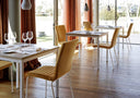 Star S M TS Side Chair by Midj - Bauhaus 2 Your House