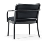 No. 811 Bentwood Lounge Armchair by Ton - Upholstered Seat and Back - Bauhaus 2 Your House