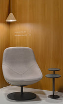 Pala Giro Lounge Chair by Artifort - Bauhaus 2 Your House
