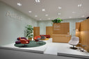 Pala Giro Lounge Chair by Artifort - Bauhaus 2 Your House