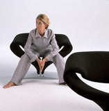 Pierre Paulin Ribbon Chair by Artifort - Bauhaus 2 Your House