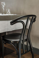 Radetzky Bentwood Chair by GTV - Bauhaus 2 Your House