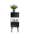 S4 Cabinet by Tecta - Bauhaus 2 Your House