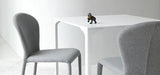 Soffio S R TS Dining Chair by Midj - Bauhaus 2 Your House