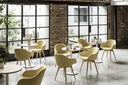 Sonny PB L TS_R Chair by Midj - Bauhaus 2 Your House