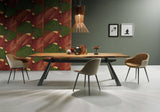 Sonny PB M TS_Q Chair by Midj - Bauhaus 2 Your House