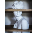 Venus Bookcase by Driade - Bauhaus 2 Your House