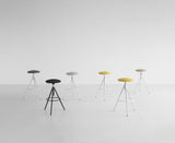 Wil S220 Fixed Height Stool by Lapalma - Bauhaus 2 Your House